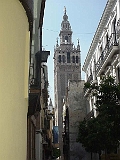 Bell Tower Of Catedral In Sevilla 1